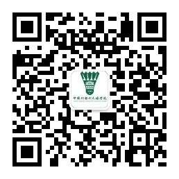 中国羽协羽毛球学院