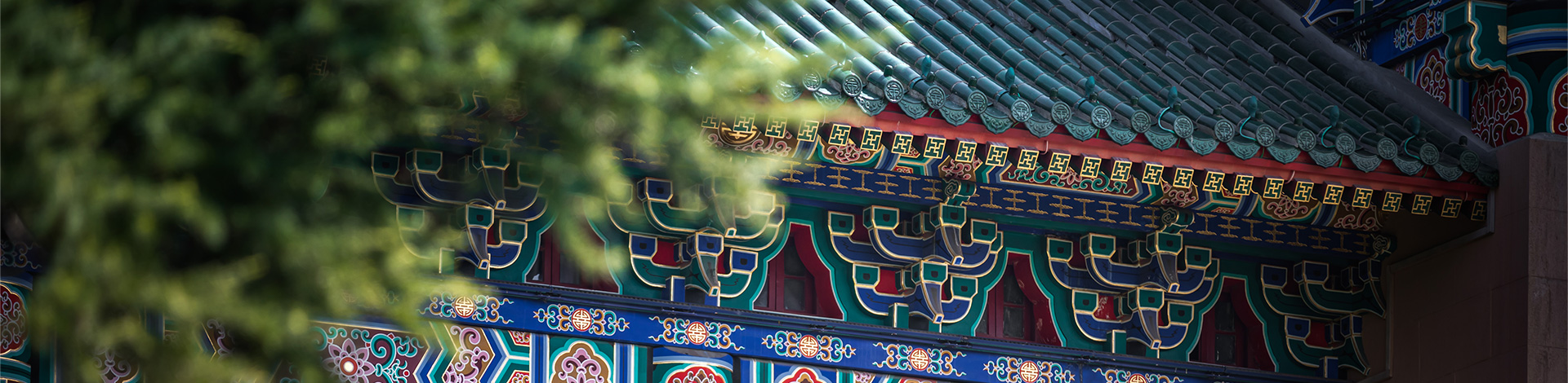 当前栏目装饰图